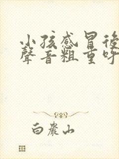 小孩感冒后呼吸声音粗重呼哧呼哧的