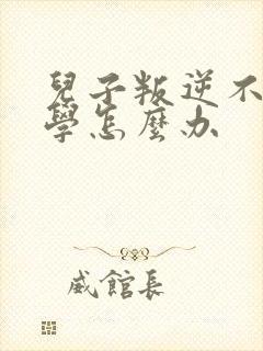 儿子叛逆不去上学怎么办