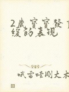 2岁宝宝发育迟缓的表现