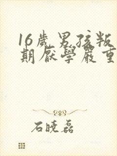 16岁男孩叛逆期厌学严重怎么办