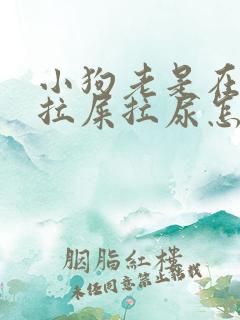 小狗老是在家里拉屎拉尿怎么办