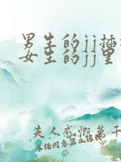 男生的jj插进女生的jj里