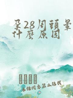 孕28周头晕是什么原因
