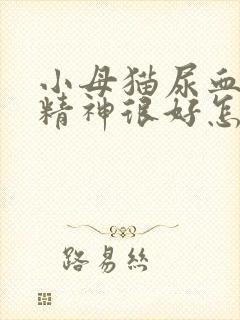 小母猫尿血但是精神很好怎么回事