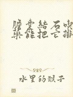 胆囊结石吃什么药能把它排出来