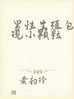 男性生殖包皮出现小颗粒