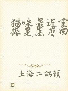 猫咪最近食欲不振是怎么回事