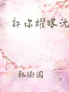 许你耀眼沈皓明