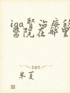 iga肾治疗的医院在哪里