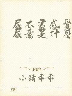 尿不尽感觉总有尿意是什么原因