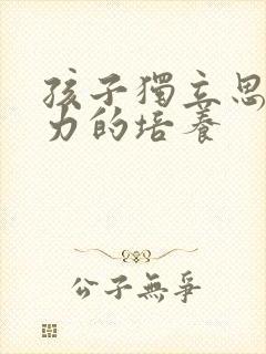 孩子独立思考能力的培养