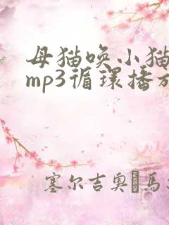 母猫唤小猫声音mp3循环播放