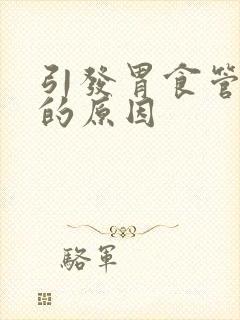 引发胃食管反流的原因