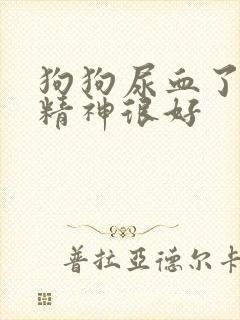 狗狗尿血了但是精神很好