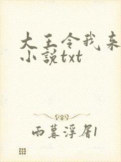 大王令我来巡山小说txt