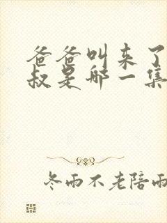 爸爸叫来了李叔叔是哪一集啊