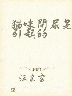 猫咪闭尿是什么引起的