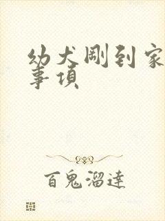 幼犬刚到家注意事项