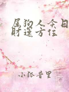 属狗人今日打牌财运方位