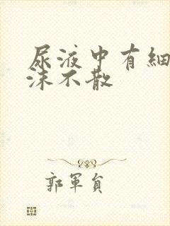 尿液中有细小泡沫不散