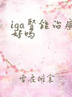 iga肾能治疗好吗