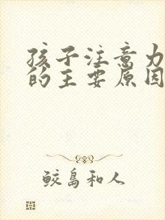 孩子注意力缺陷的主要原因