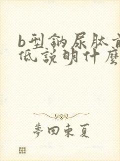 b型钠尿肽前体低说明什么