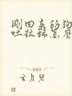 刚回来的狗狗呕吐拉稀怎么办?