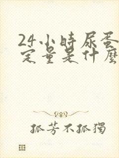 24小时尿蛋白定量是什么检查