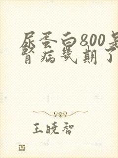 尿蛋白800是肾病几期了吗