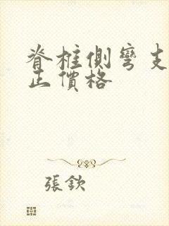 脊椎侧弯支具矫正价格