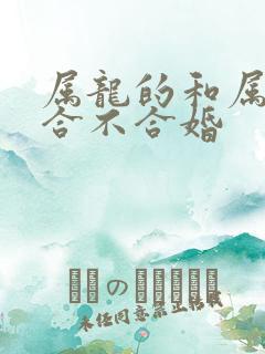 属龙的和属马的合不合婚