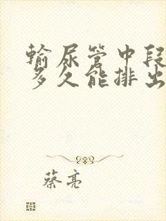 输尿管中段结石多久能排出