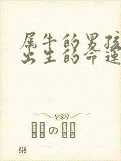 属牛的男孩二月出生的命运如何