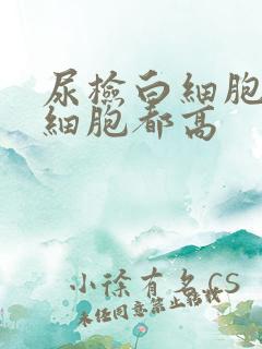 尿检白细胞和红细胞都高