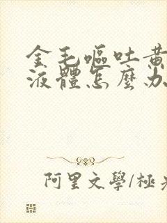 金毛呕吐黄色的液体怎么办