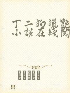 丁二狗猎艳人生小说在线阅读