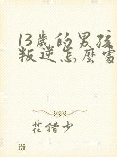 13岁的男孩子叛逆怎么处理