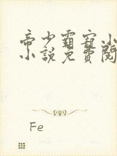 帝少霸宠小娇妻小说免费阅读