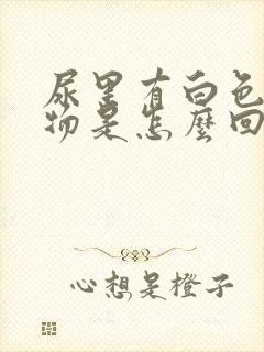 尿里有白色沉淀物是怎么回事