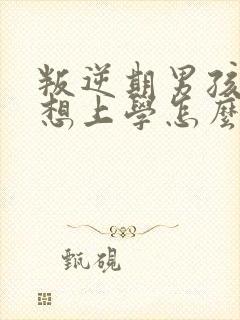 叛逆期男孩子不想上学怎么办