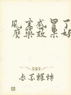 风寒感冒了吃什么药效果好