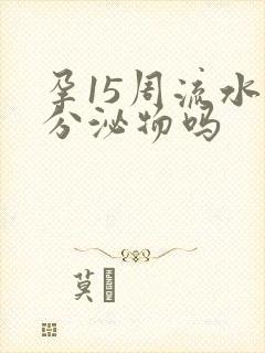 孕15周流水样分泌物吗