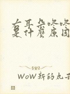 右耳朵咚咚咚响是什么原因