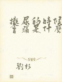 撒尿的时候尿道会痛是什么原因