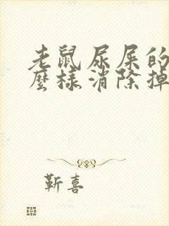 老鼠尿屎的味怎么样消除掉