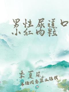 男性尿道口起的小红肉粒