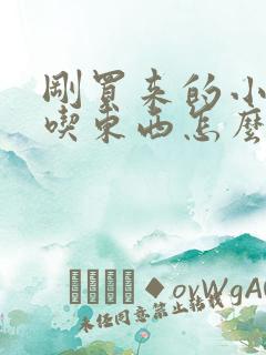 刚买来的小狗不吃东西怎么办