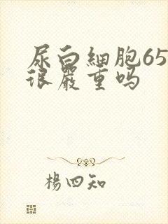 尿白细胞65是很严重吗