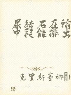 尿结石在输尿管中段能排出来吗